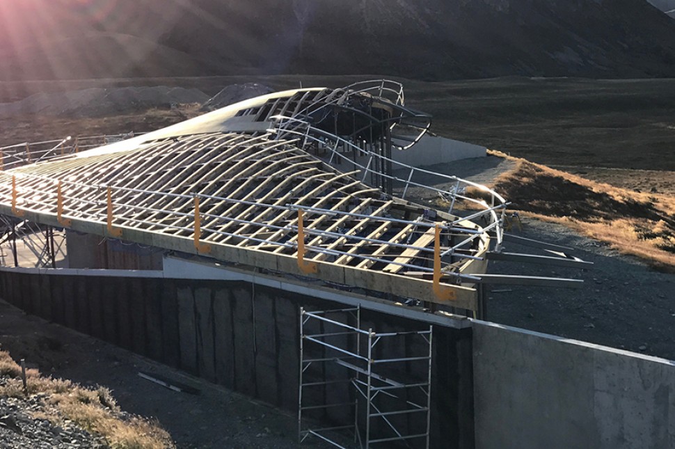 timber purlins curved steel roof frames