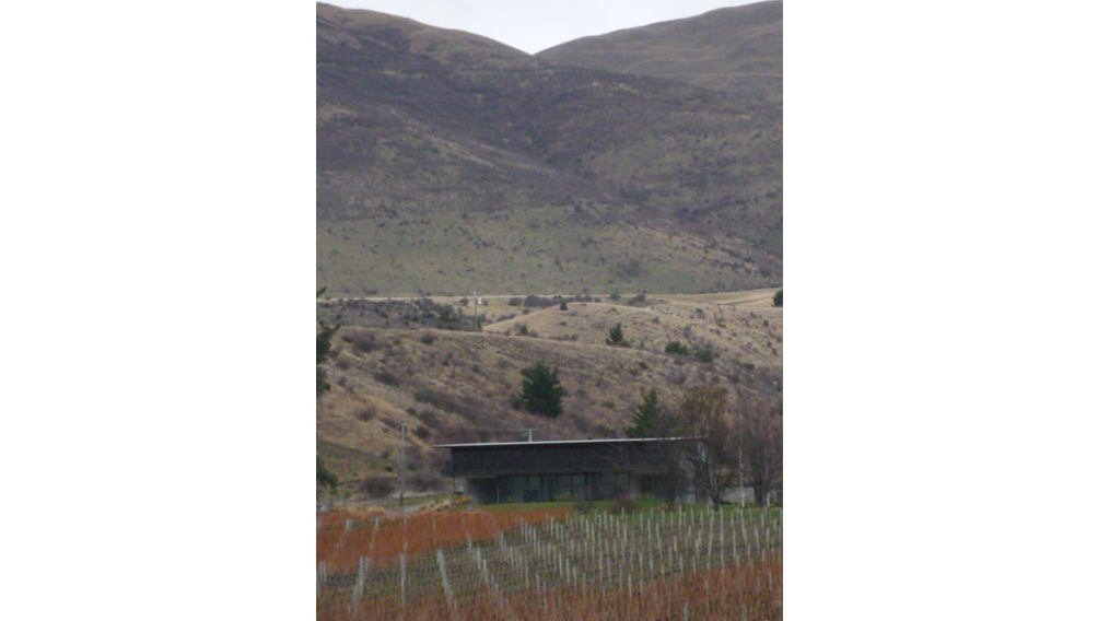 gibbston valley sloping vines