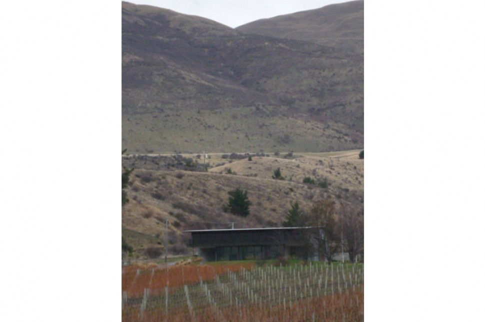 gibbston valley sloping vines