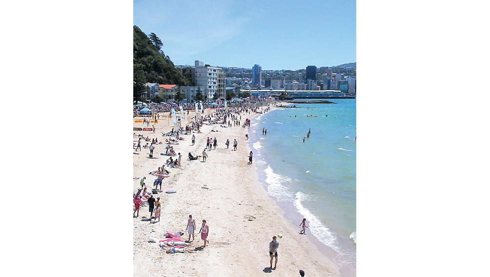 tourism vollyball oriental bay