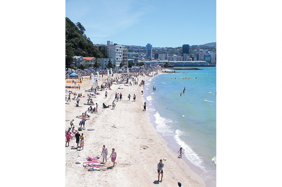 tourism vollyball oriental bay
