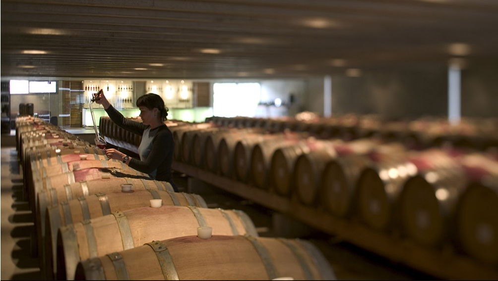 barrel room peregrine winery