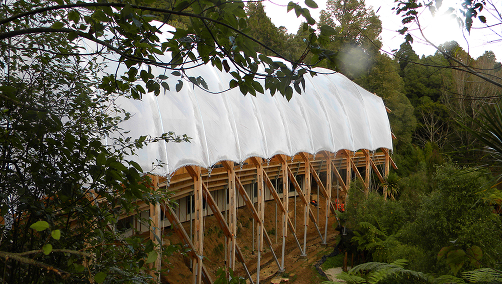 waitomo forest new zealand architecture