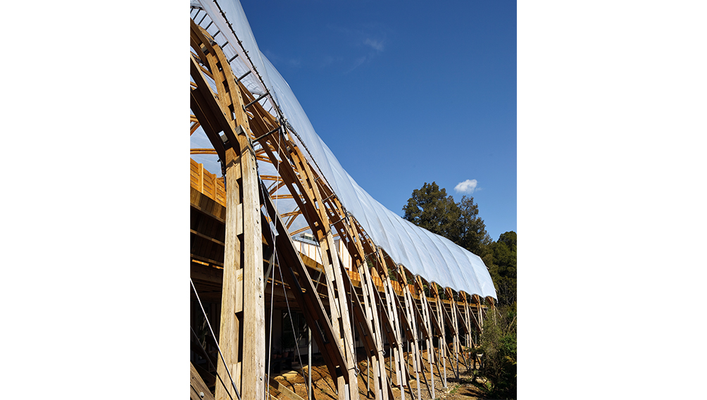 recreation visitor centre north island