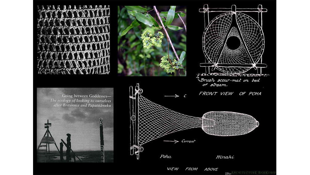 eel net reference grid structure