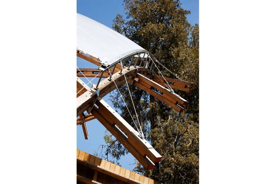 timber detail construction nzia award