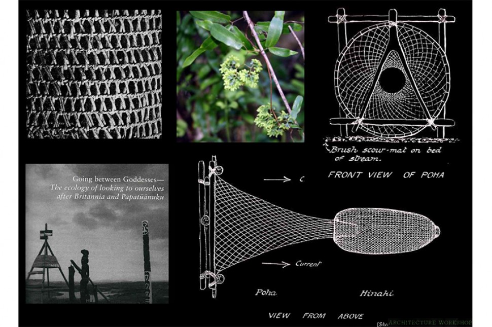 eel net reference grid structure