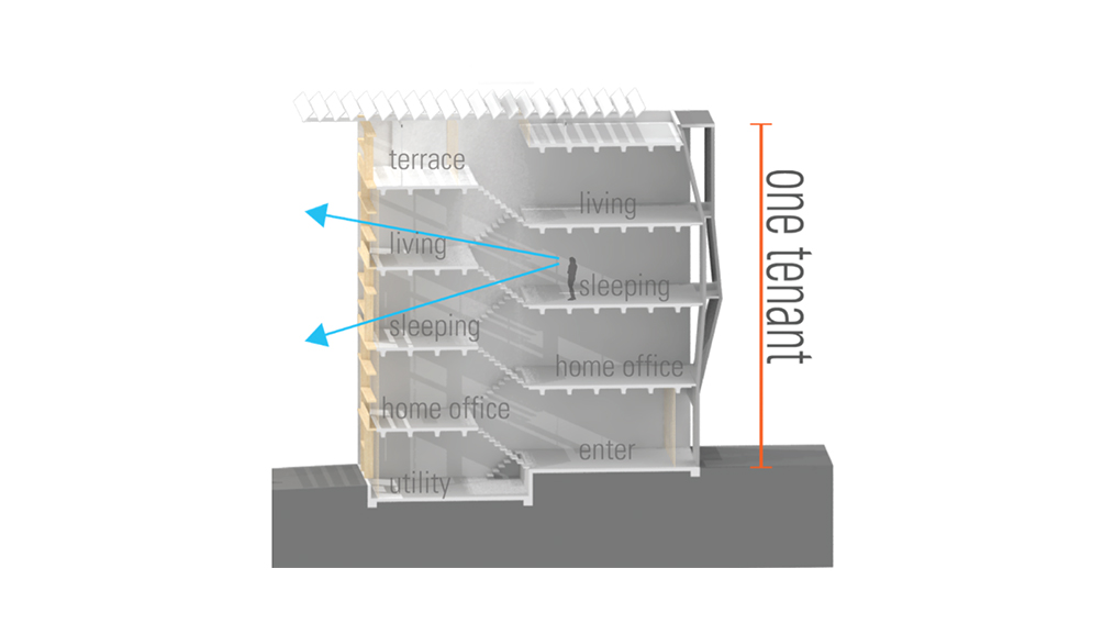 adaptable housing ponsonby auckland aw