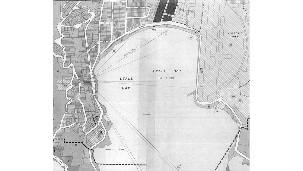 2 district plan map lyall