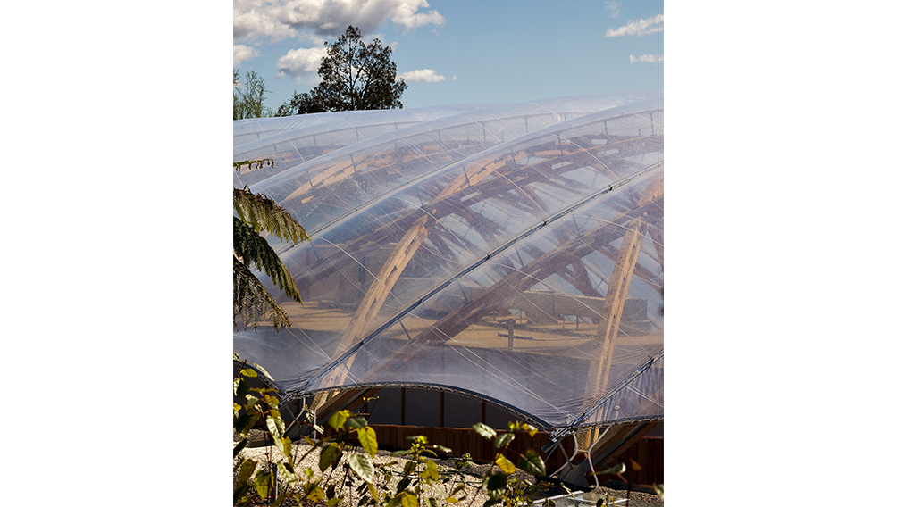 etfe pillows timber wood design