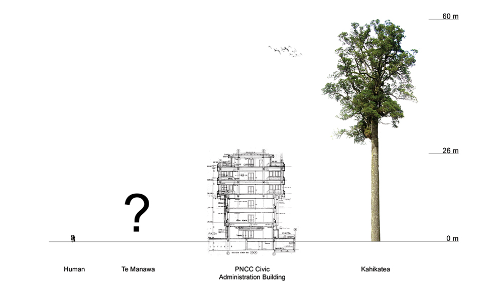height study architecture workshop manawatu