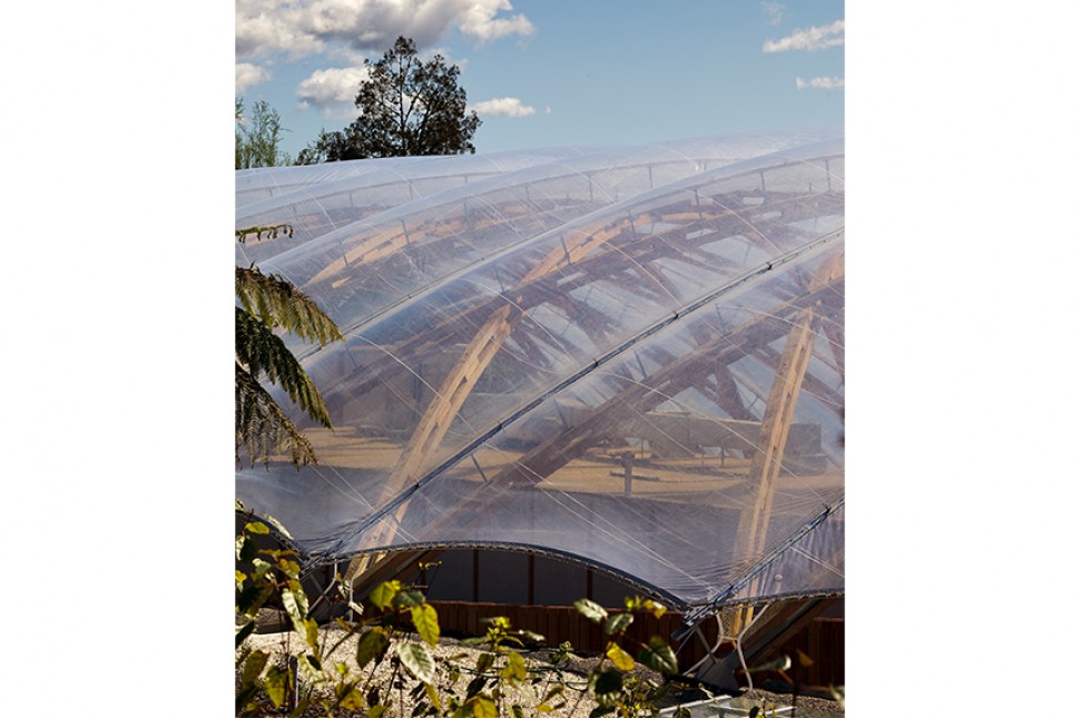 etfe pillows timber wood design