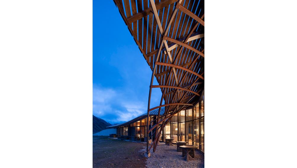 gridshell construction architecture new zealand